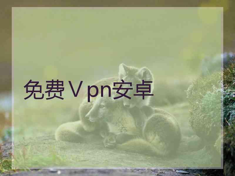 免费Ⅴpn安卓