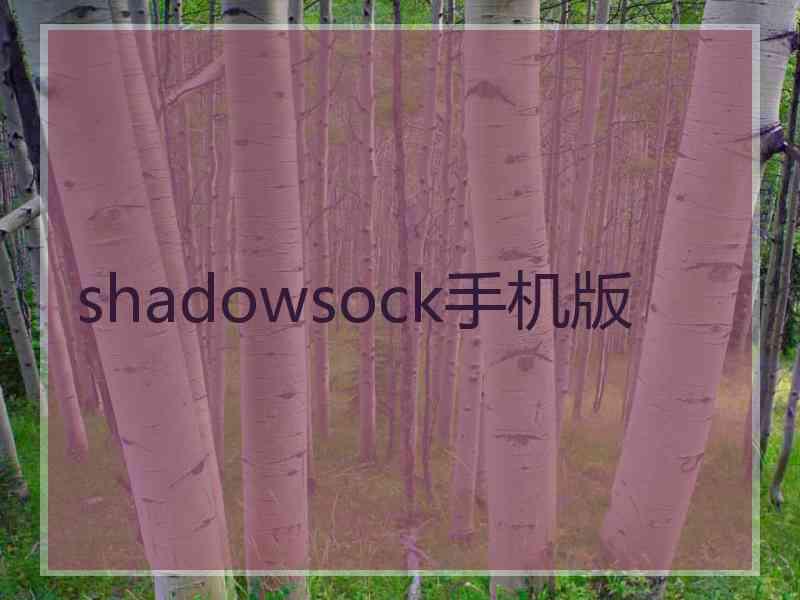 shadowsock手机版