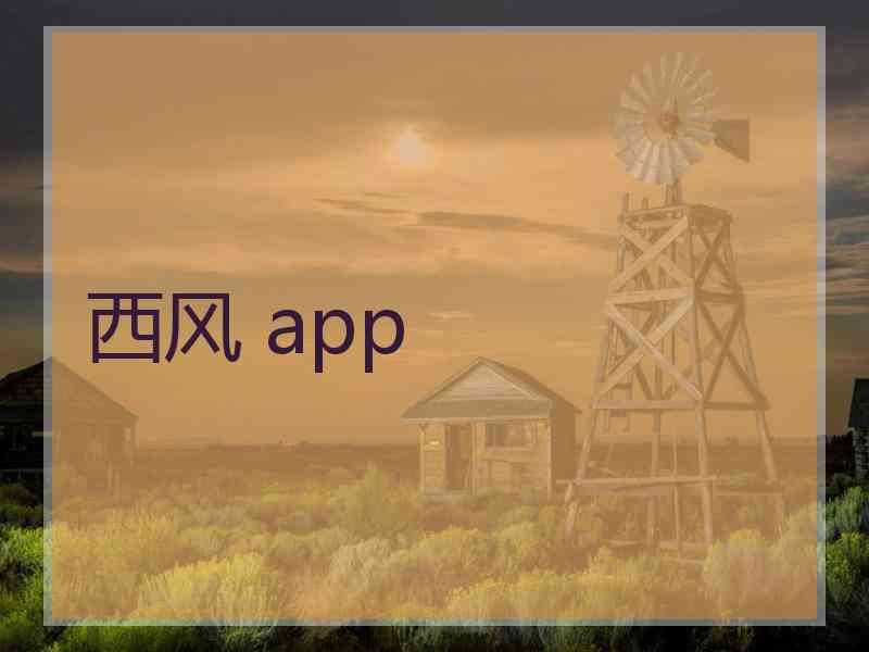 西风 app