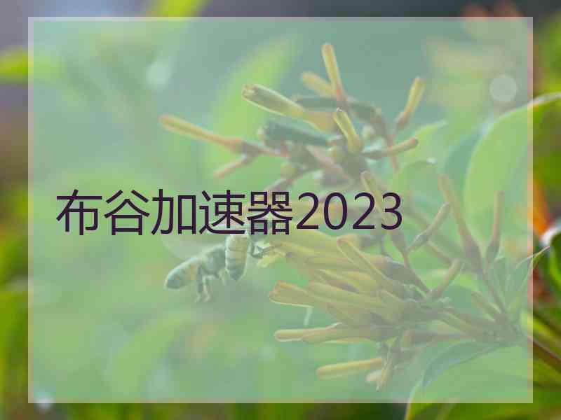 布谷加速器2023