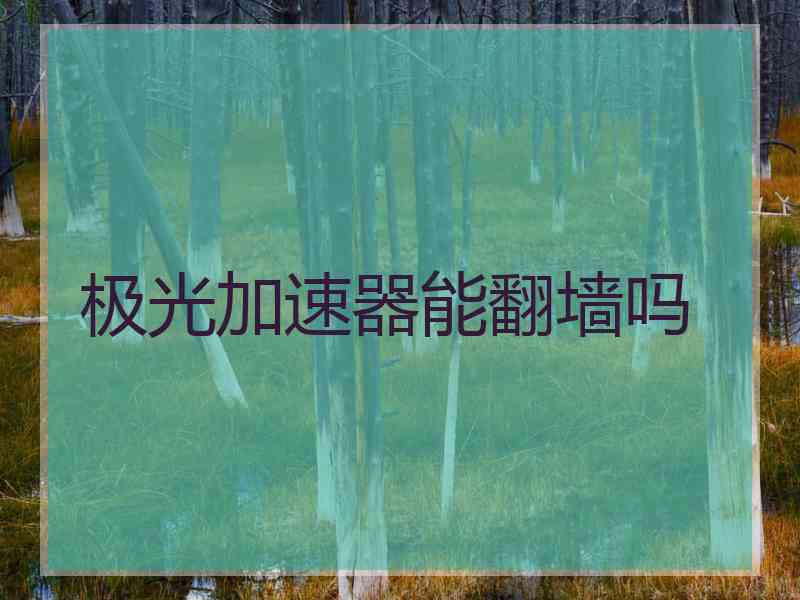 极光加速器能翻墙吗