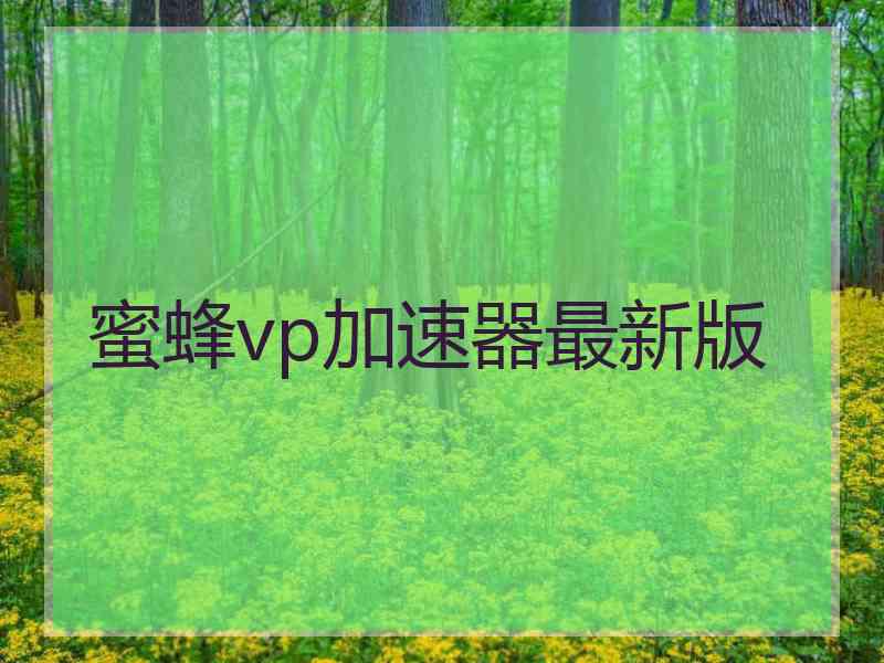 蜜蜂vp加速器最新版
