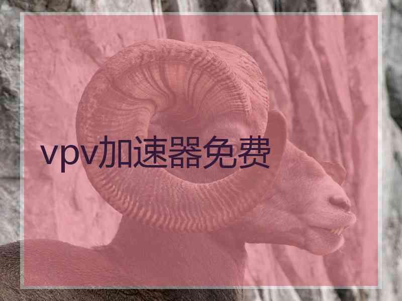 vpv加速器免费