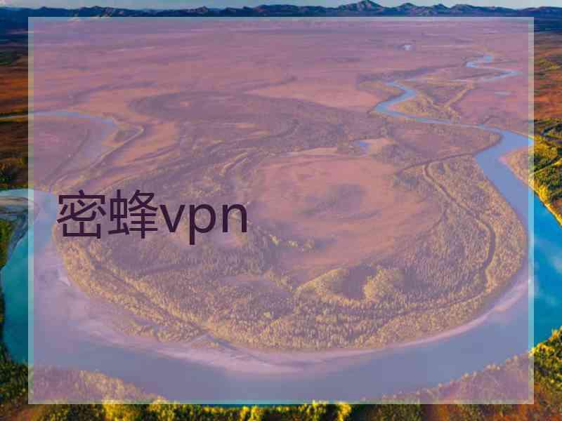 密蜂vpn